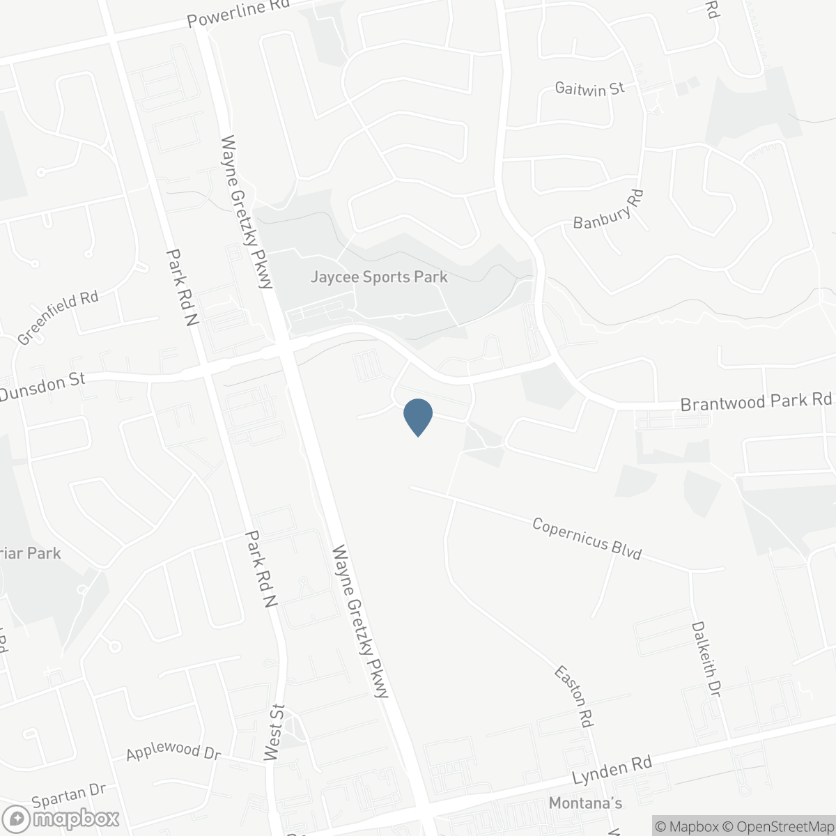 42 BUCHANAN Crescent, Brantford, Ontario N3P 2A5